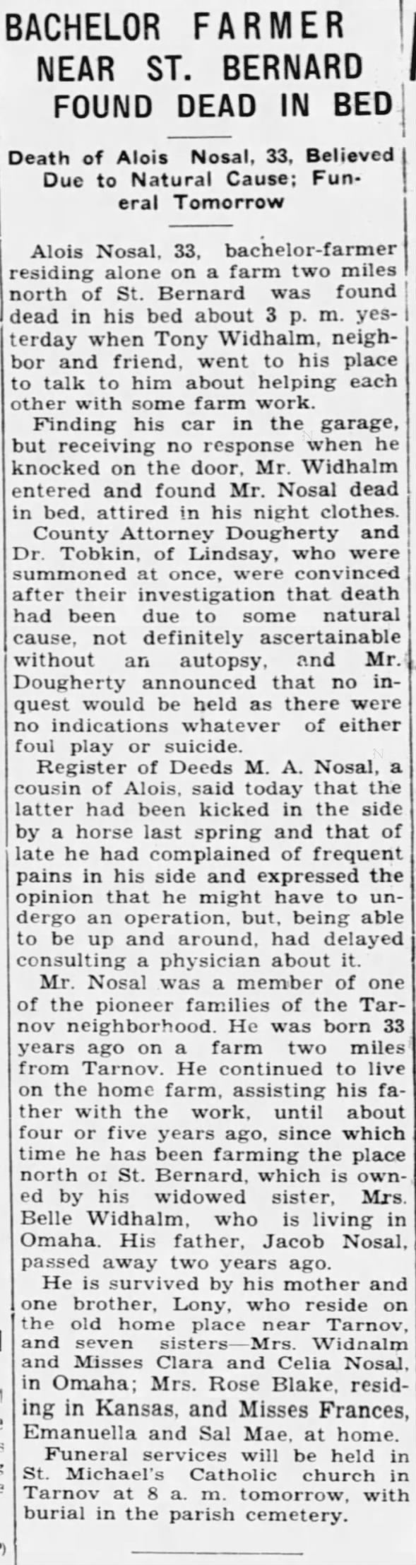 Obituary for Alois Nosal (Aged 33)